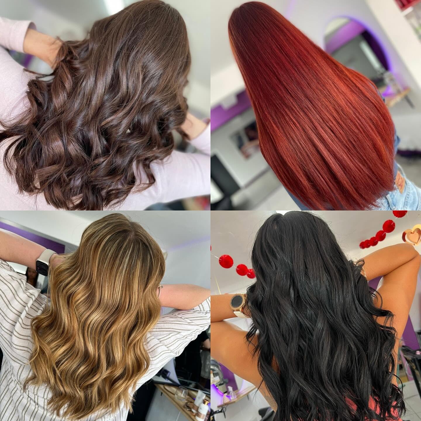 Colour variety — brunette, red, blonde and black